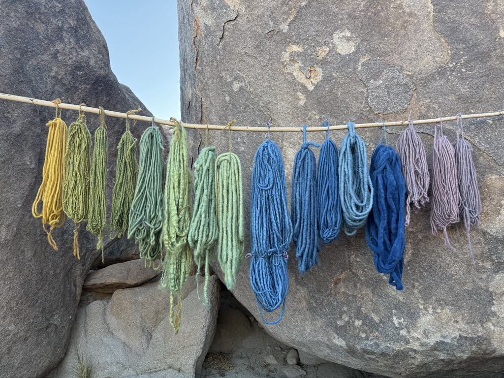 Plant-dyed yarn skeins in yellow, green, blue, and violet hanging from a pole against desert boulders