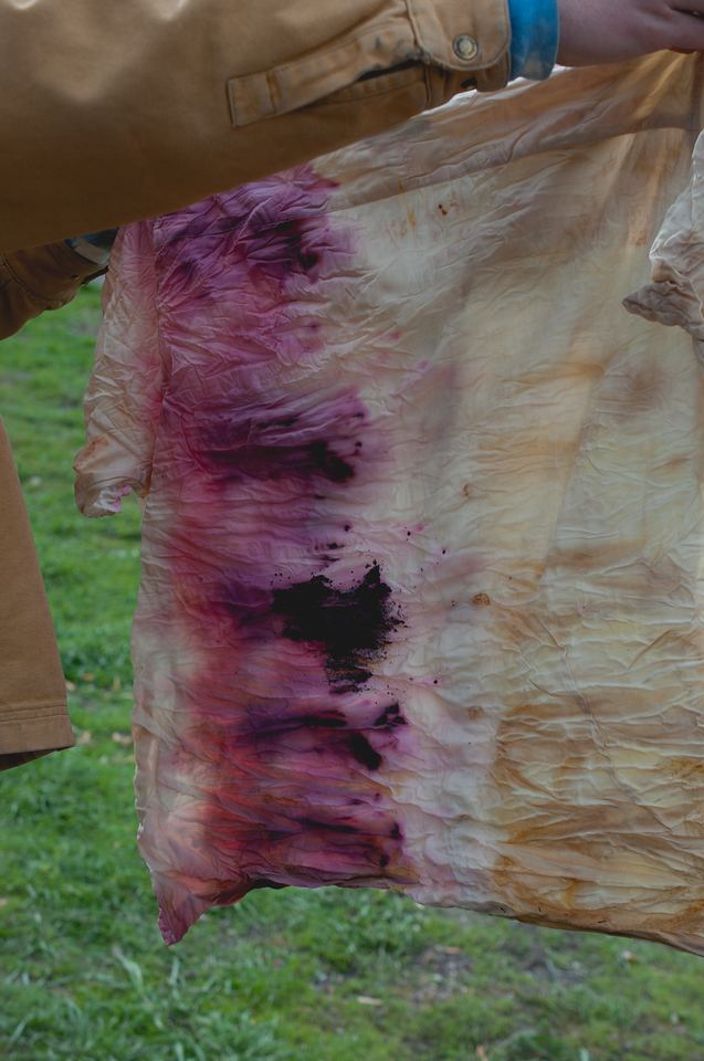 Wild plant dye workshop